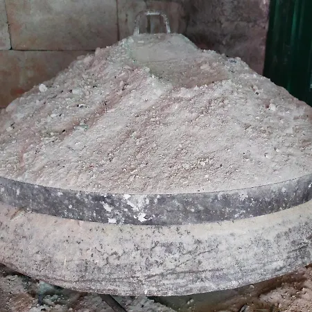 Nina * 马卡尔斯卡