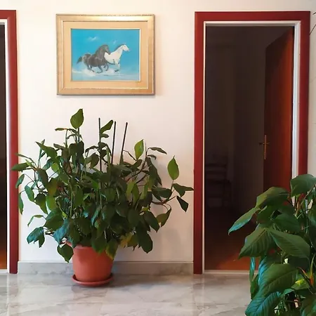 Apartment Nina *