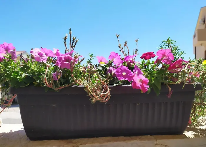 Nina Apartman Makarska