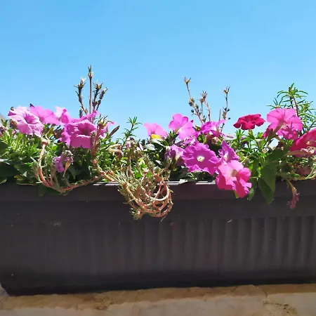 Nina Διαμέρισμα Μακάρσκα